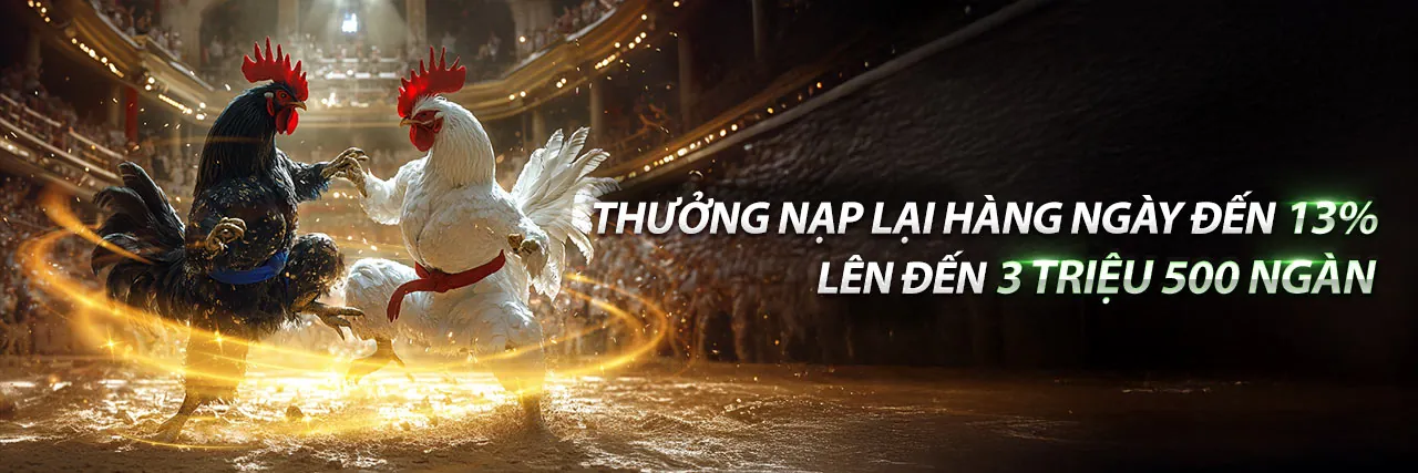 Đa dạng các môn thể thao tại 777king99 link